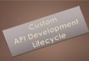 5 Important Steps In The Custom API Development Lifecycle